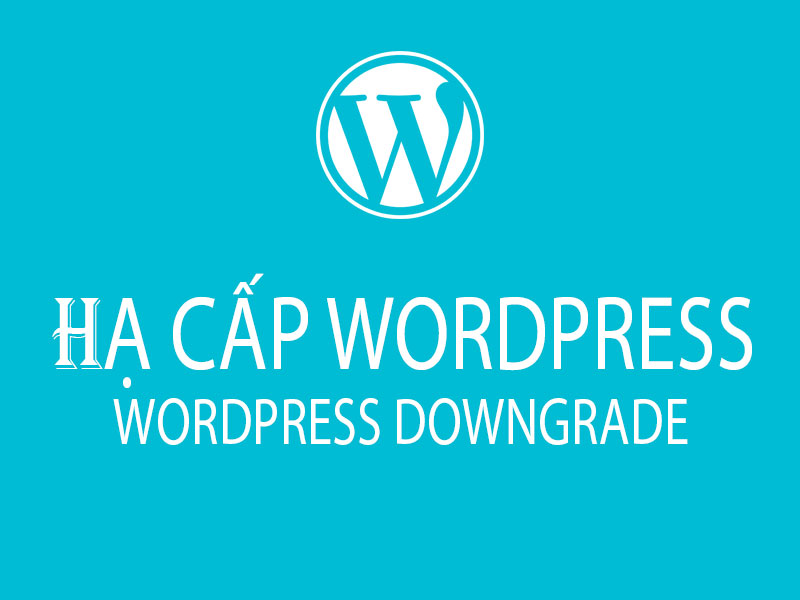 Hướng dẫn cách hạ phiên bản WordPress cũ hơn