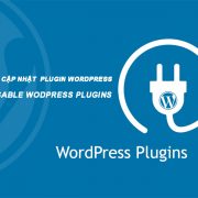 Hướng dẫn cách ngăn chặn Cập nhật Update Plugin trong WordPress