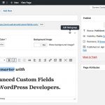Hướng dẫn sử dụng plugin Advanced Custom Fields trong WordPress